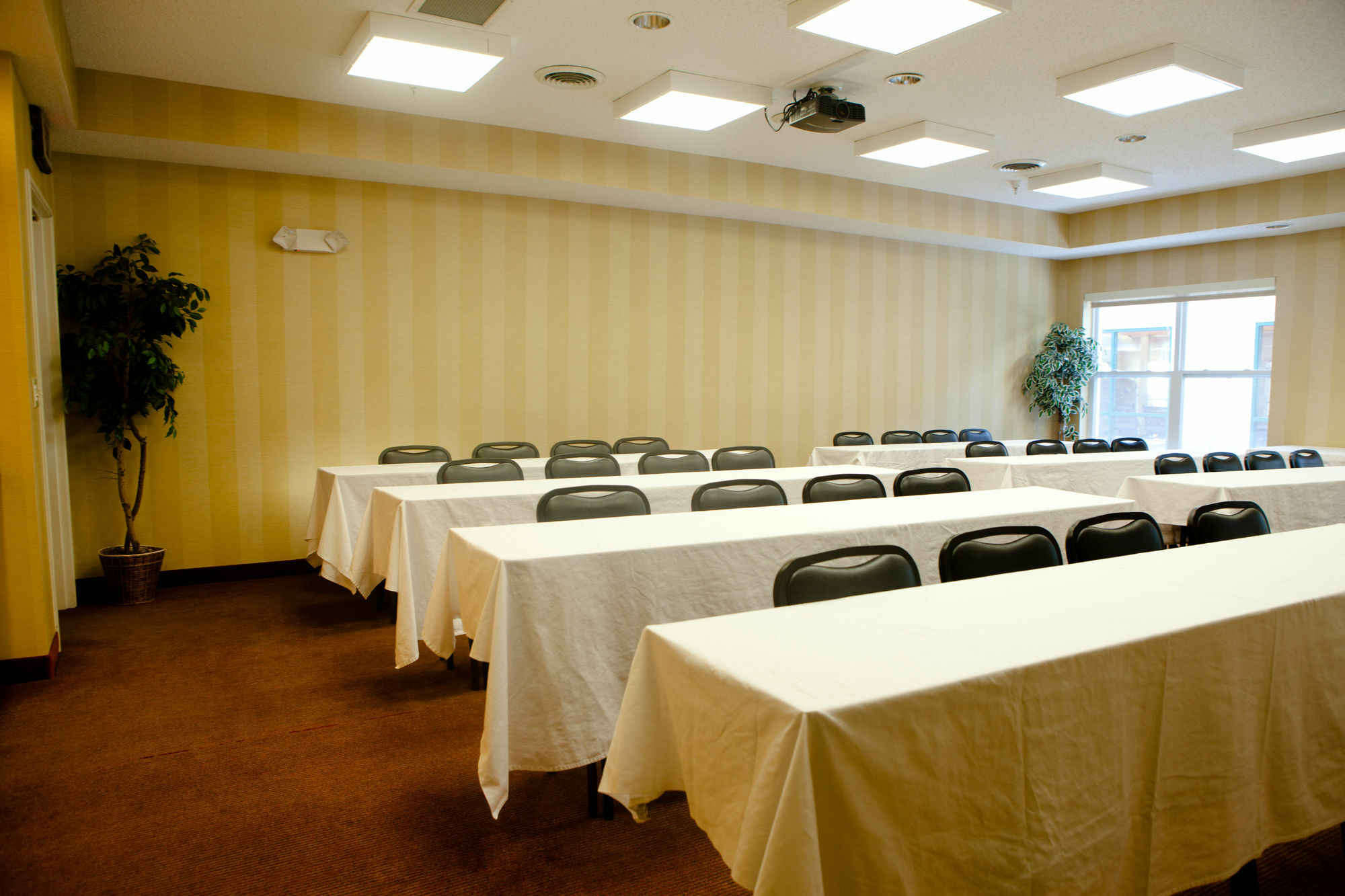 Towneplace Suites Rochester Zewnętrze zdjęcie